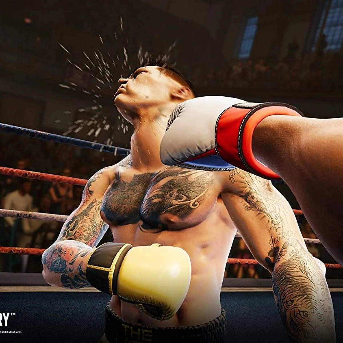 Creed: Rise to Glory